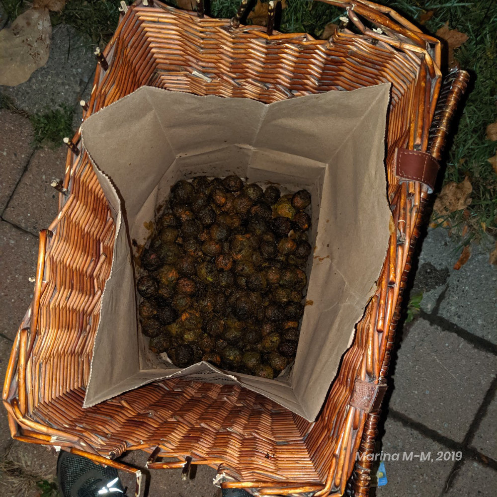 A wicker basket lined with a paper bag, partially filled with walnuts
