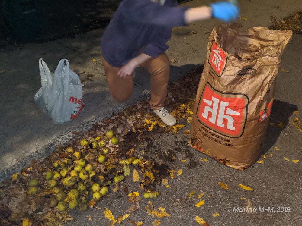 A woman dropping walnut rinds into a tall paper bag
